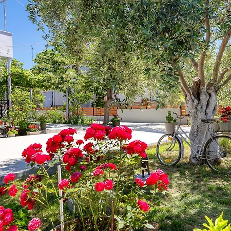 Panagiotas House Apartment Astris